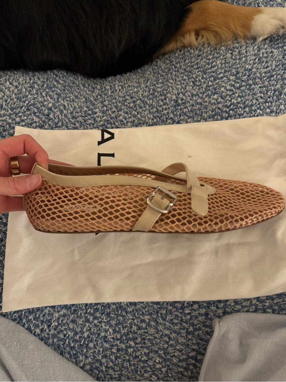 Alaïa Fishnet Ballerina Flat - Picture 7 of 13